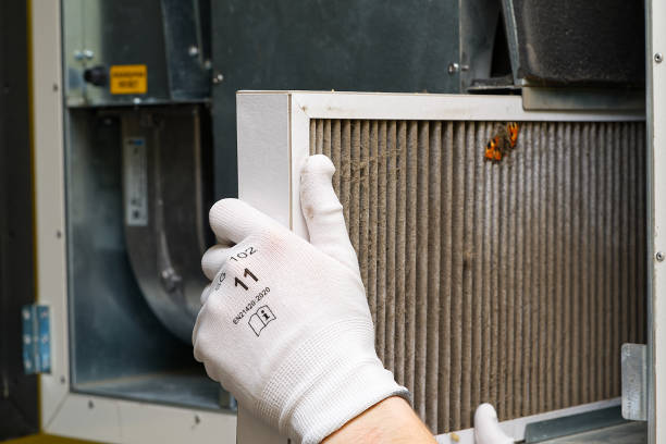 Best HVAC System Cleaning  in Fruitport, MI