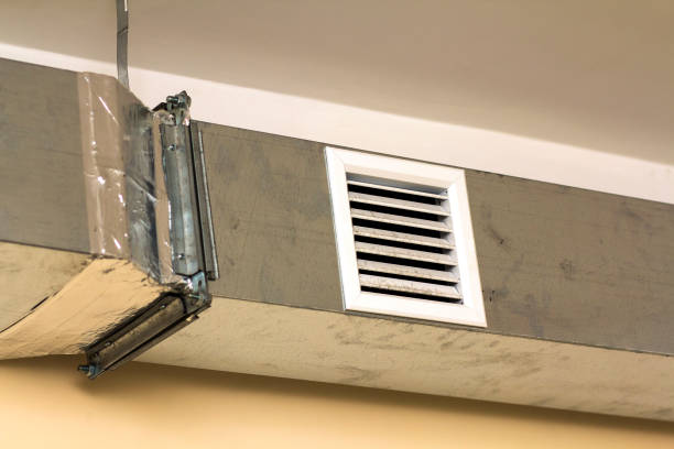 Best Duct Cleaning for Homes  in Fruitport, MI